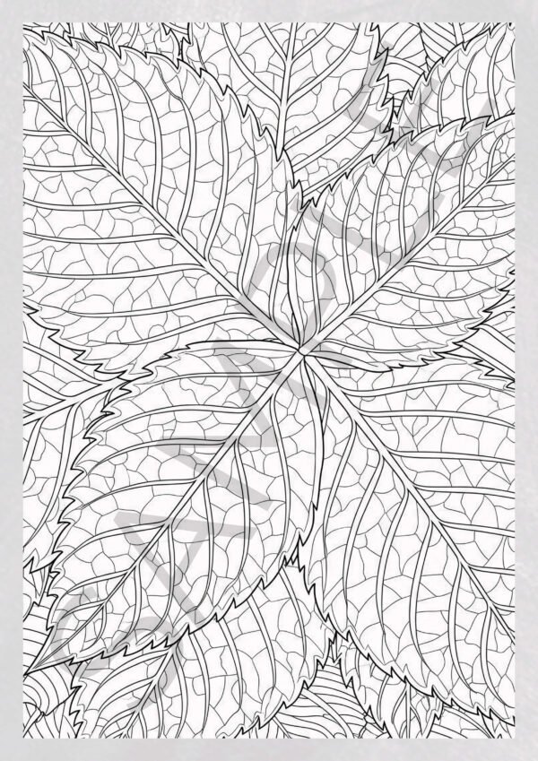 Leaf Coloring Book for Adults - Stress Relief & Nature Inspired Prints