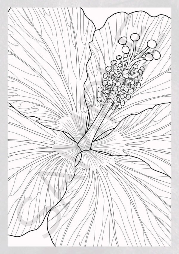 Natural Elements: Flowers Coloring Pages - Botanical Stress Relief
