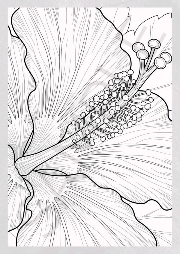 Natural Elements: Flowers Coloring Pages - Botanical Stress Relief