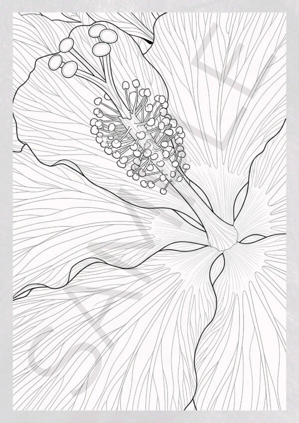 Natural Elements: Flowers Coloring Pages - Botanical Stress Relief