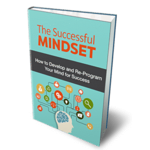 The Successful Mindset