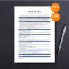 UAE Government & GLE Executive CV Pack — Director & Above